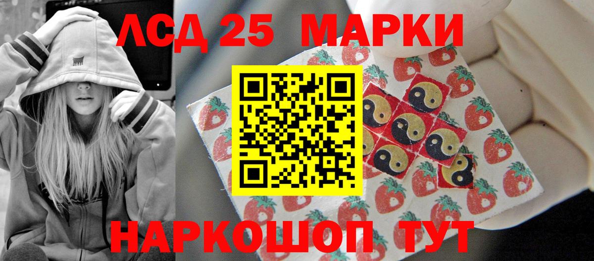 Новозыбков  Лсд 25 экстази кислота  Вход с VPN  Лсд 25 экстази кислота 