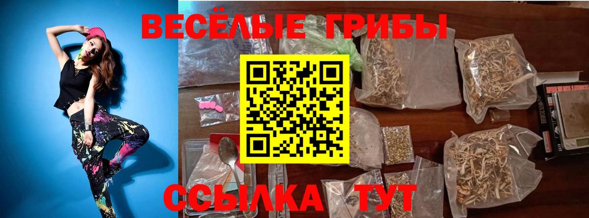 Галлюциногенные грибы Psilocybine cubensis Новозыбков