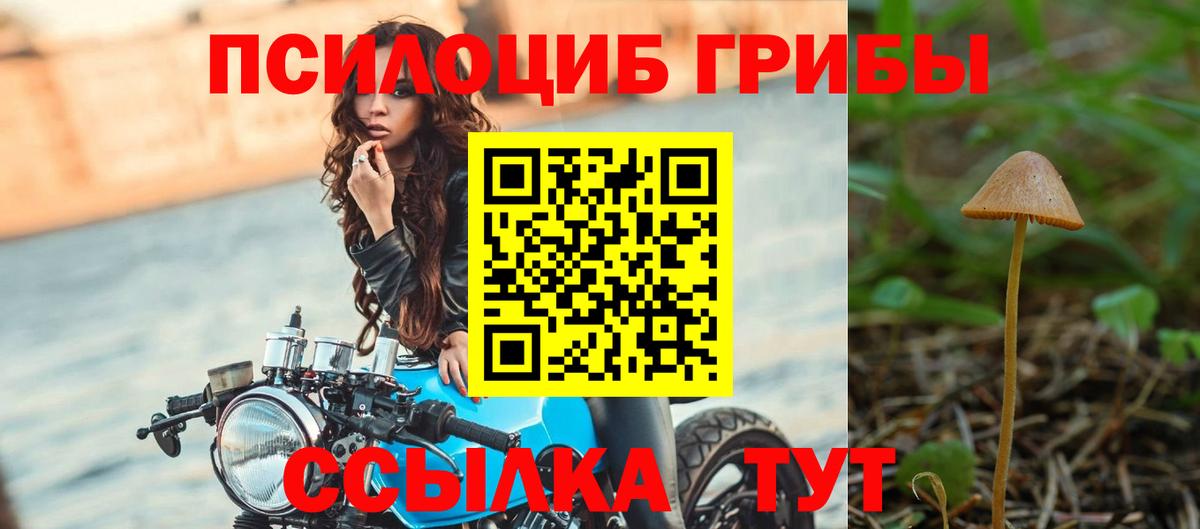 Псилоцибиновые грибы ЛСД  Галлюциногенные грибы Psilocybe  Новозыбков  Вход с VPN 